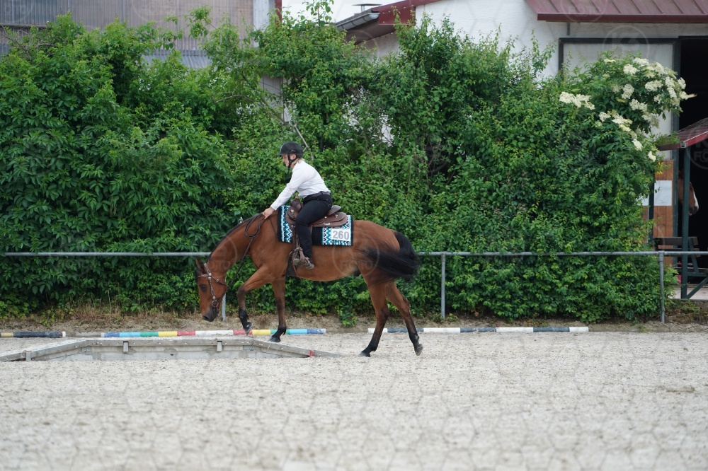 s_A9_06703.jpg